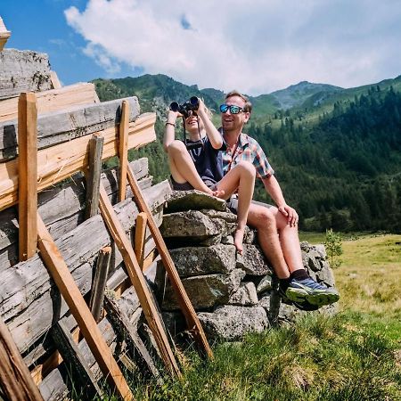 Chalet Freiblick Kleinhaid, Hollersbach Hollersbach im Pinzgau Dış mekan fotoğraf