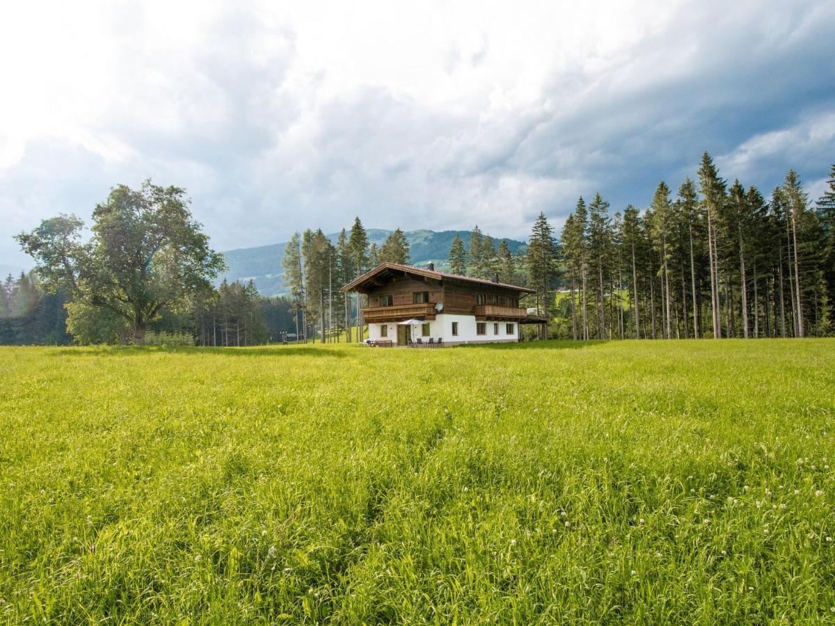 Chalet Freiblick Kleinhaid, Hollersbach Hollersbach im Pinzgau Dış mekan fotoğraf