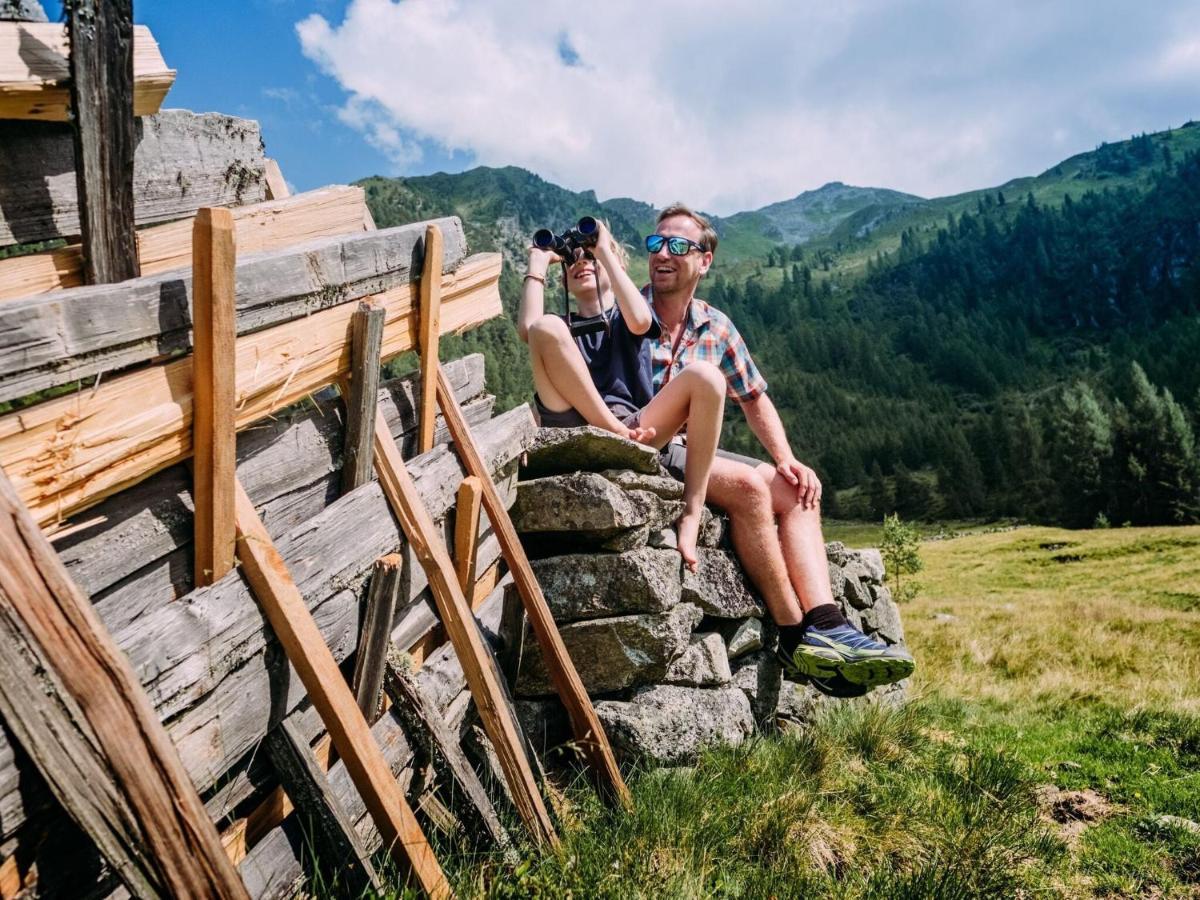 Chalet Freiblick Kleinhaid, Hollersbach Hollersbach im Pinzgau Dış mekan fotoğraf