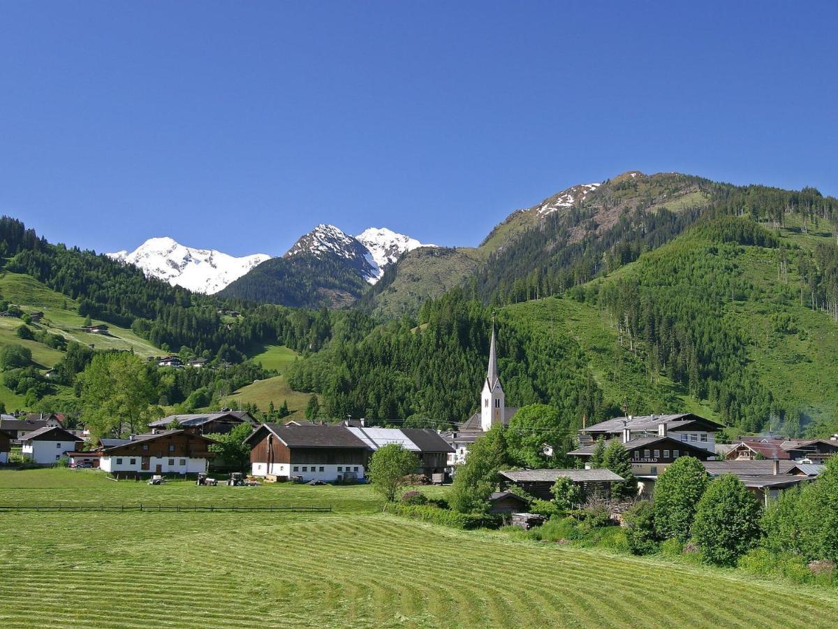 Chalet Freiblick Kleinhaid, Hollersbach Hollersbach im Pinzgau Dış mekan fotoğraf