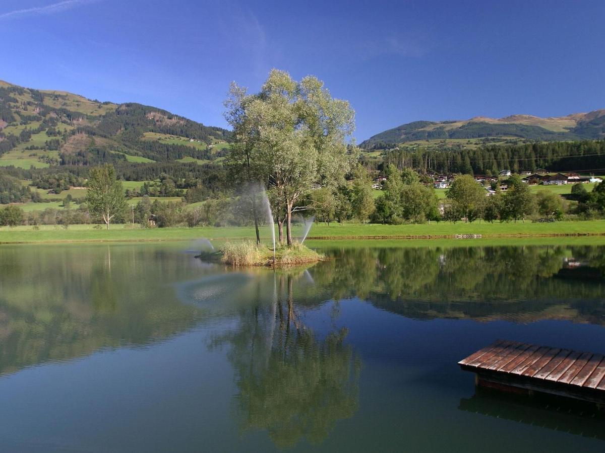 Chalet Freiblick Kleinhaid, Hollersbach Hollersbach im Pinzgau Dış mekan fotoğraf