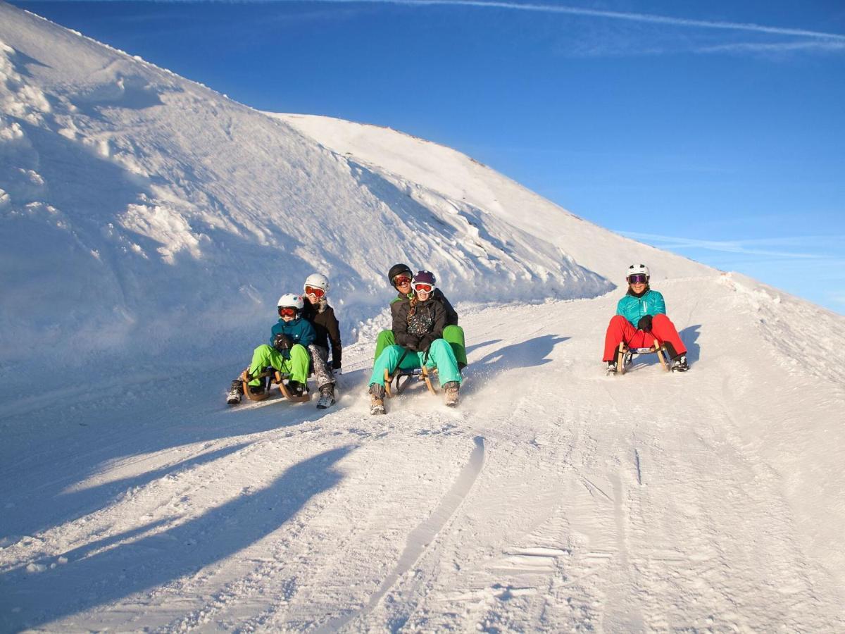 Chalet Freiblick Kleinhaid, Hollersbach Hollersbach im Pinzgau Dış mekan fotoğraf